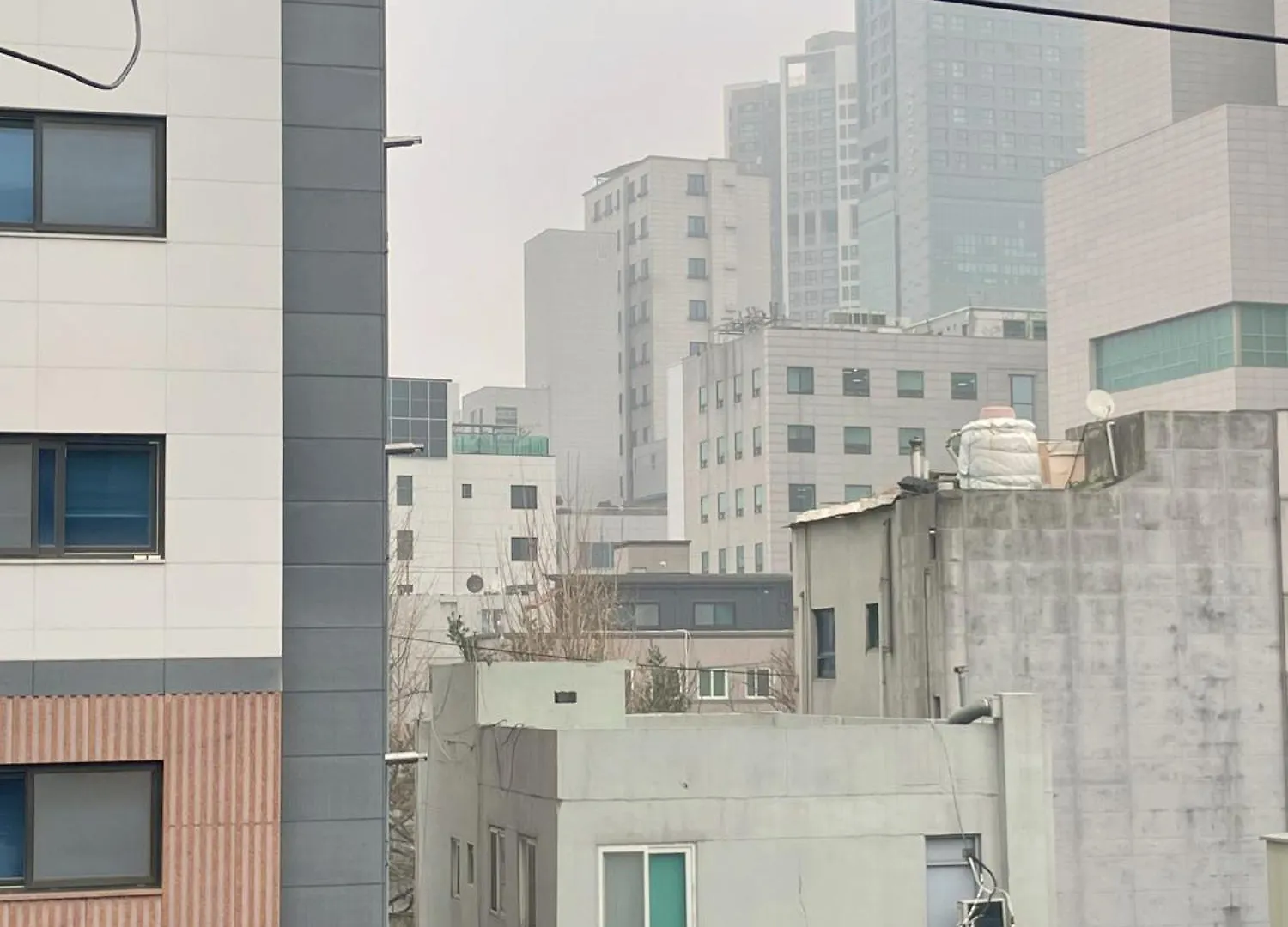 The Laziest Studio ソウル特別市 韓国